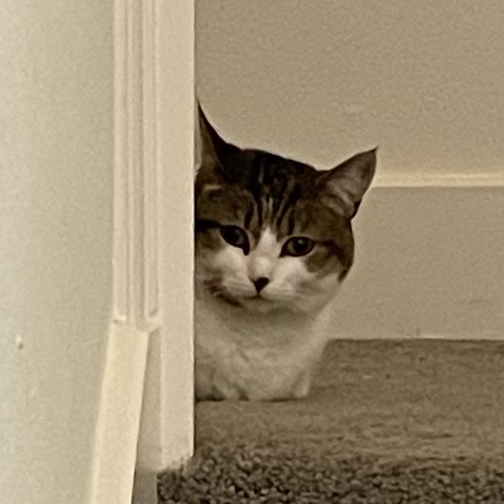 60bed9fa 0582 497a a887 7306aea7ae7b 1733019711205