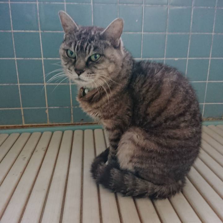 60bf162a 772a 4754 961e 2252e13f5a64 1570599879601