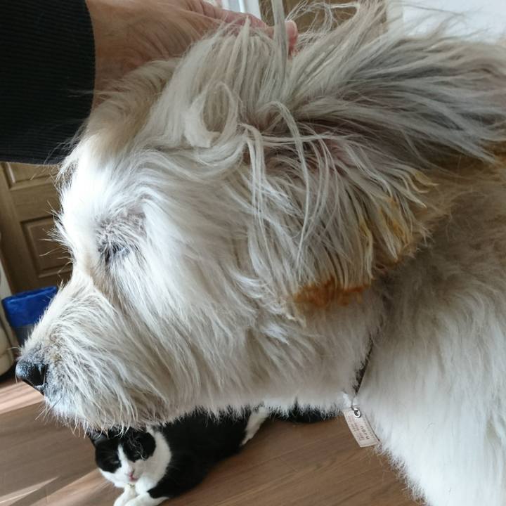 60bf303a 0baf 424e a2fd 7da25210c186 1571791070428