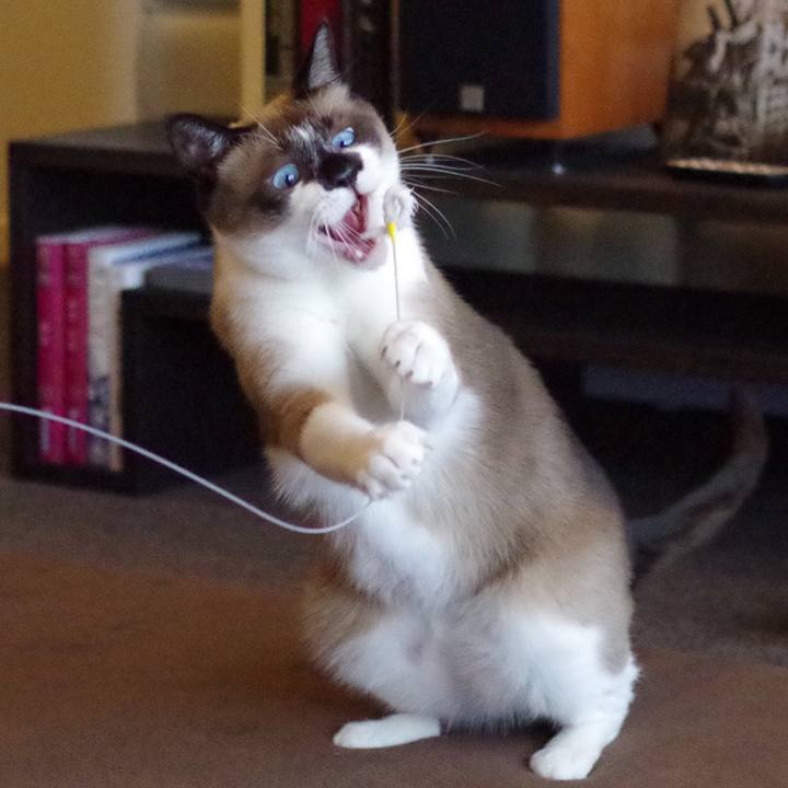 60bf71ae 2611 47b9 987d 73e0a383866c 1521445932290