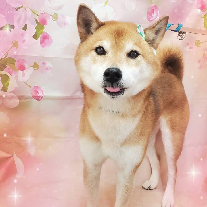 60bf8ab7 c096 4b5a adac 829d8db5a854 1705573090875