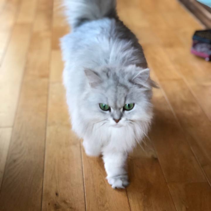 60bf9268 92de 4f14 a792 6fd28dacd1e0 1557096865658