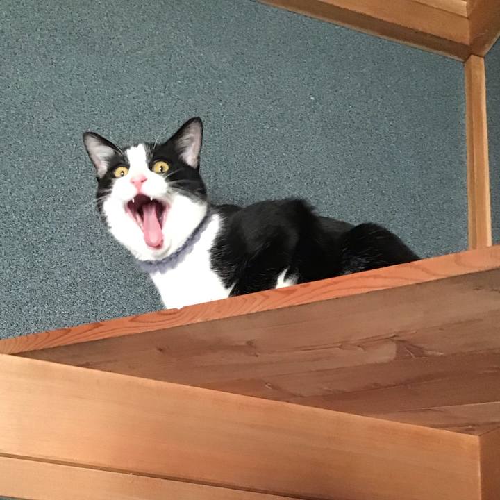 60c023b7 f23c 45e4 9a81 ba8dc20eb517 1643183112593