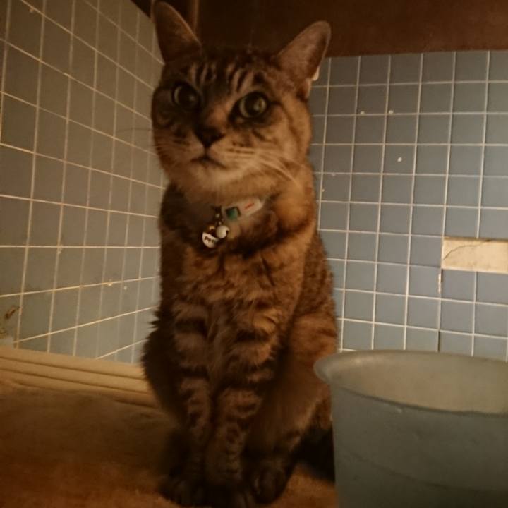 60c05865 51be 4398 9204 d5791234eb79 1571825032410