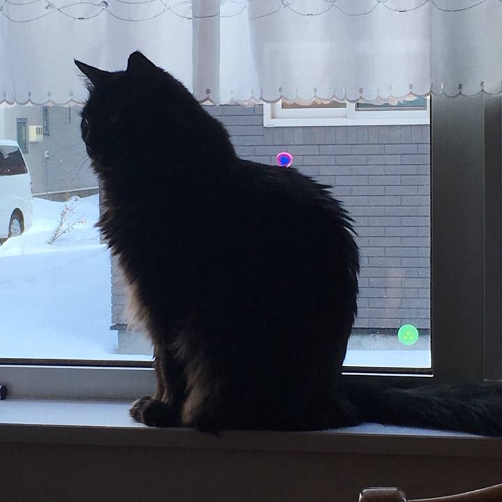 60c05a93 9c62 407d 9a8f 28a50dc31e50 1519523193362