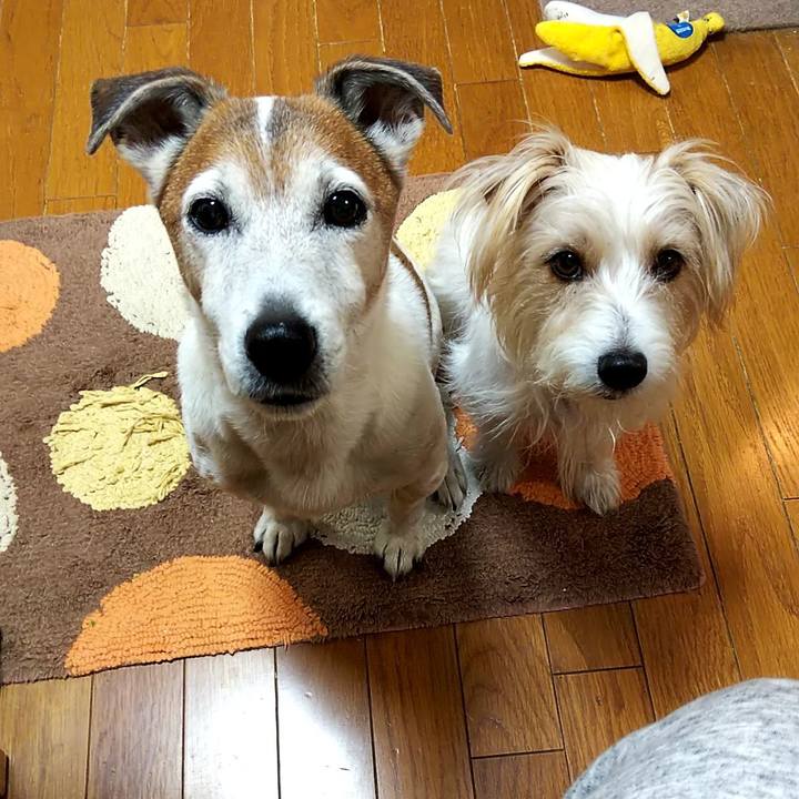 60c05bb3 a1c9 4b83 8fb1 52453c135678 1551133193961