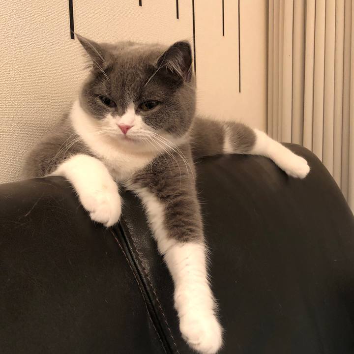 60c0ae6d 66b9 4ffb 95d3 e9c3dea635fe 1518784558979