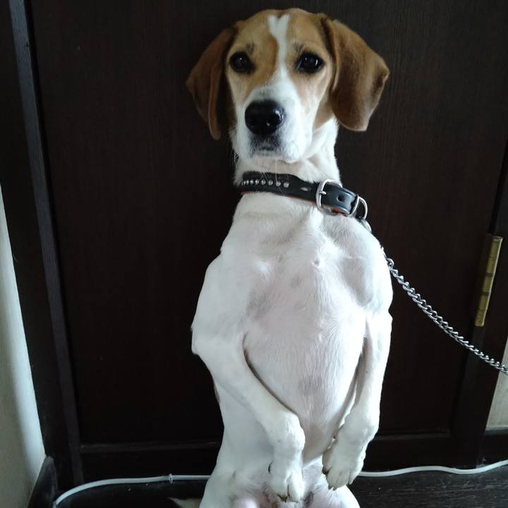 60c0d124 fdbf 43dc 91dd c2a5cf941347 1635670458181