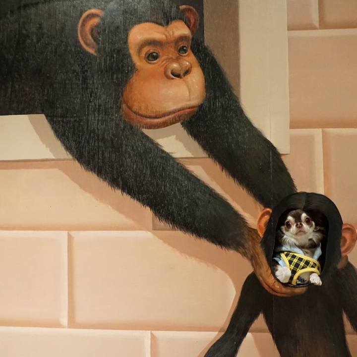 60c12275 8966 45db afc2 5154ed55cdaa 1546581374583