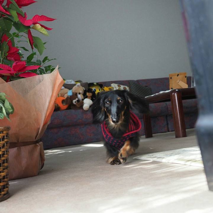 60c135ab 1c0b 4baf b91c 99cb17b0b1ec 1552019170737