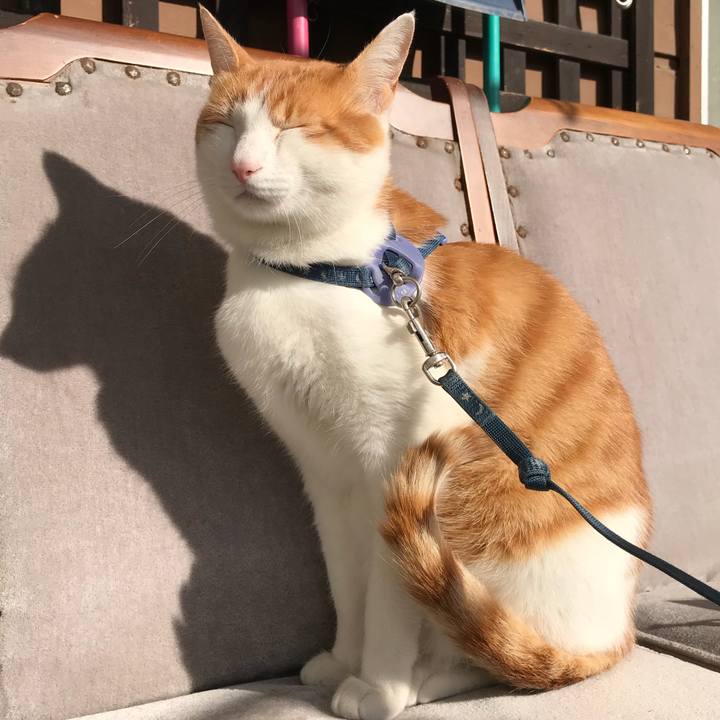 60c13e13 ee03 40b1 a963 4d0f241202a4 1511232269537