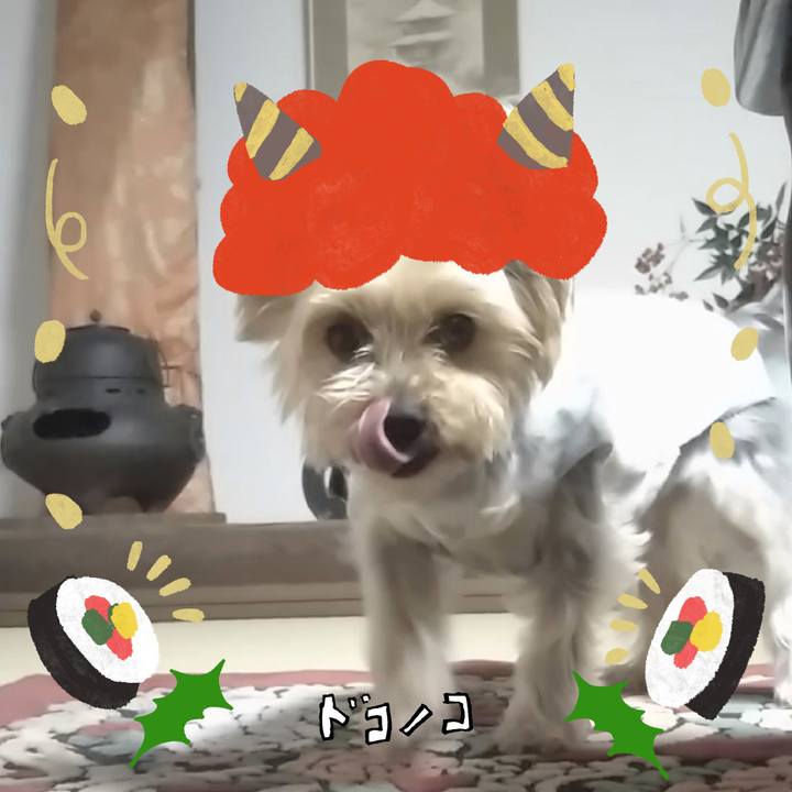 60c17aaa 0e1f 4d87 afcd cfee93b0c06e 1706764655321