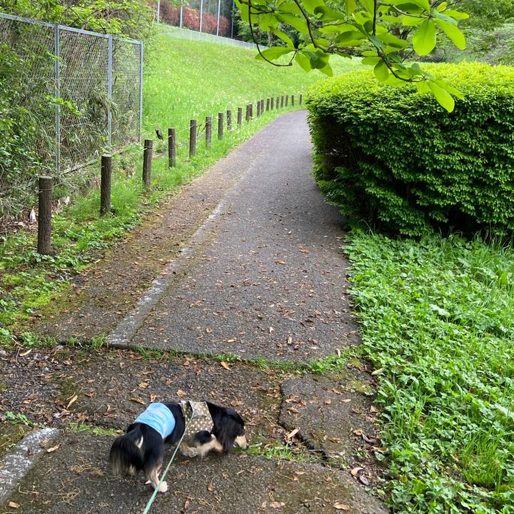 60c18bd3 98d9 4cdd b13d e629eb048954 1714115681246