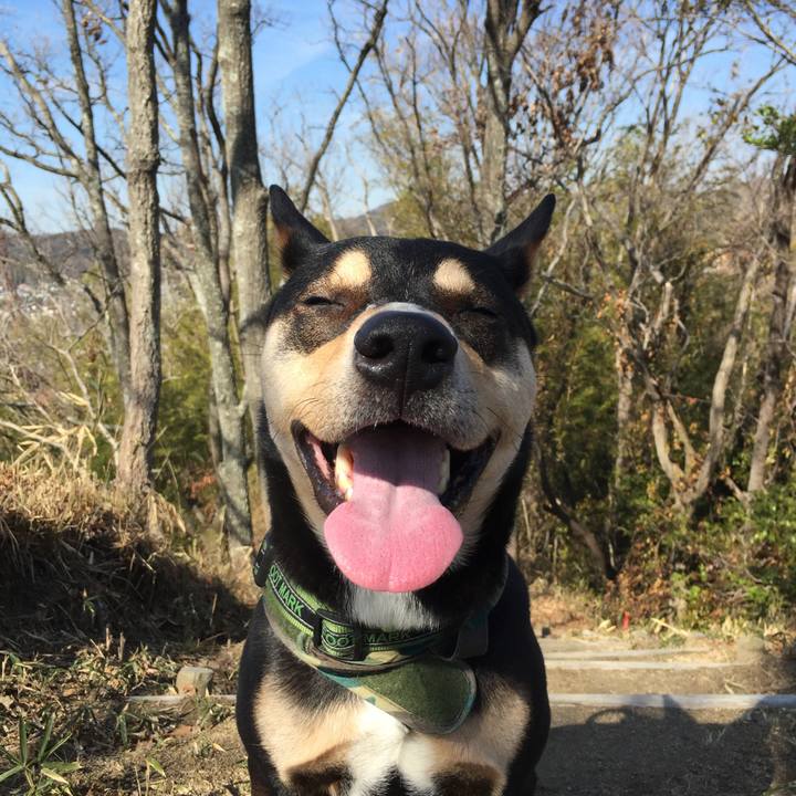 60c18feb f69b 43ba a649 a00e35d4effc 1553179197613