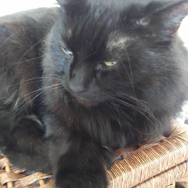 60c1e523 f5a7 4937 b4d6 d1769422cb45 1515295017987