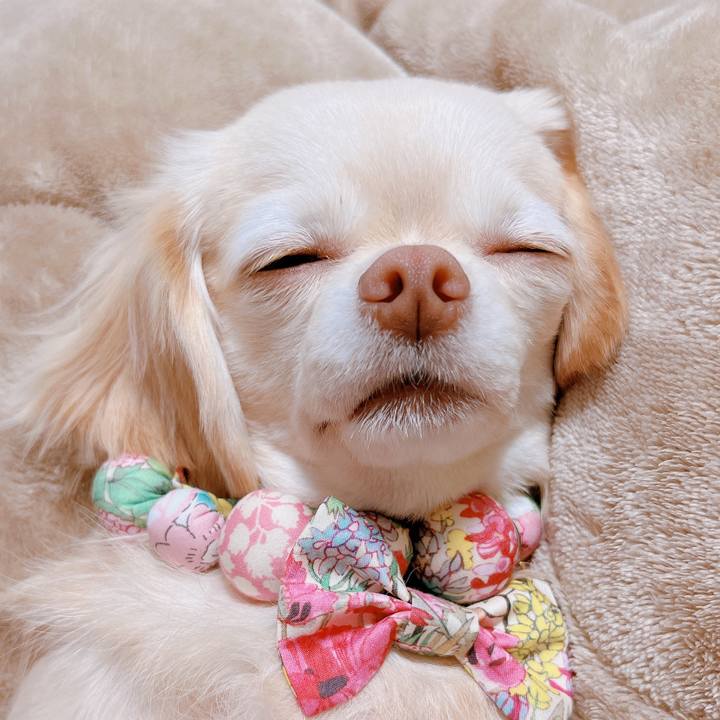 60c1eec6 6a7e 4236 b50f 218e142d242f 1668759818229