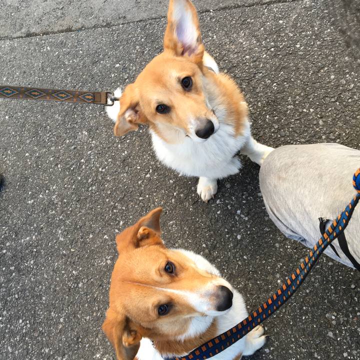 60c1f7e0 f0c5 407b 977f cd71ab1b59f4 1603599356652