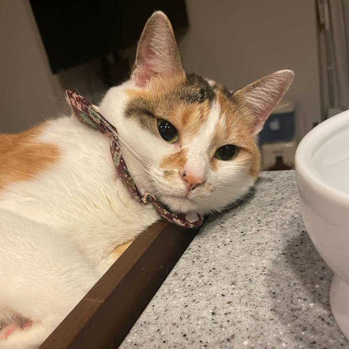 60c1f919 8176 4a4b 9bd5 539976fb2574 1751022700208