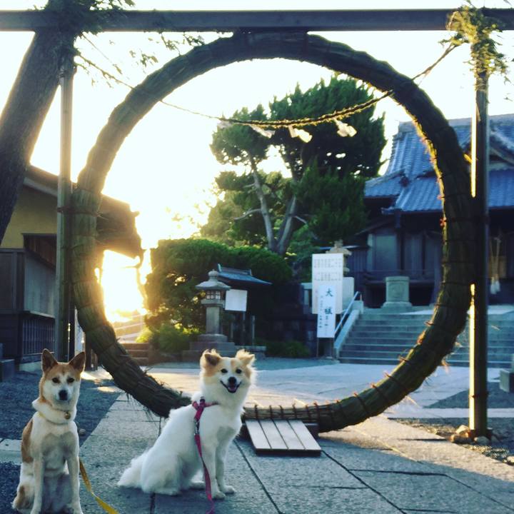 60c1fdbf c39f 4087 bf46 e67b71e07aff 1530329224961