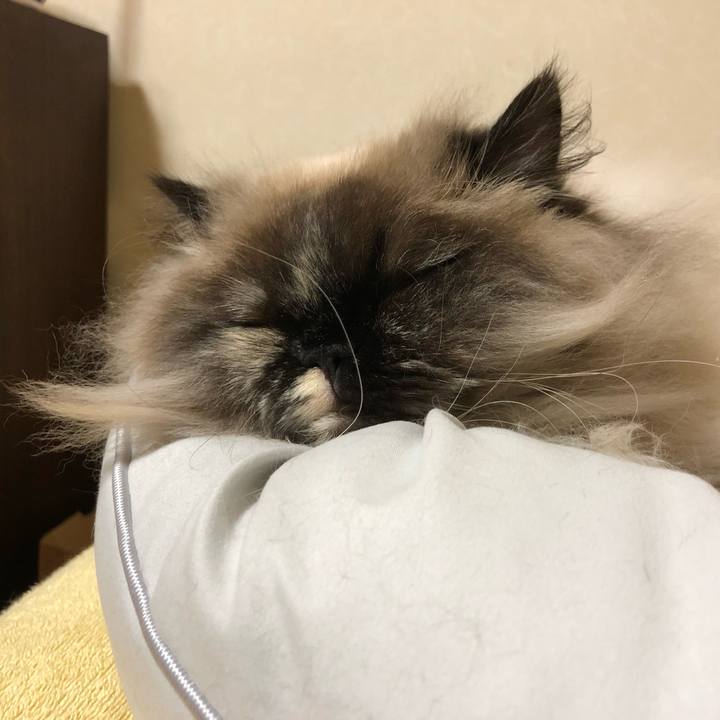 60c21093 fce1 423c 89d0 b5a28de84a8a 1651323695512