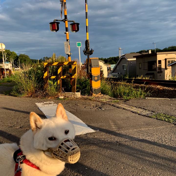 60c22f82 f24f 448e a13d 5d7b3cdbcd96 1567978596916