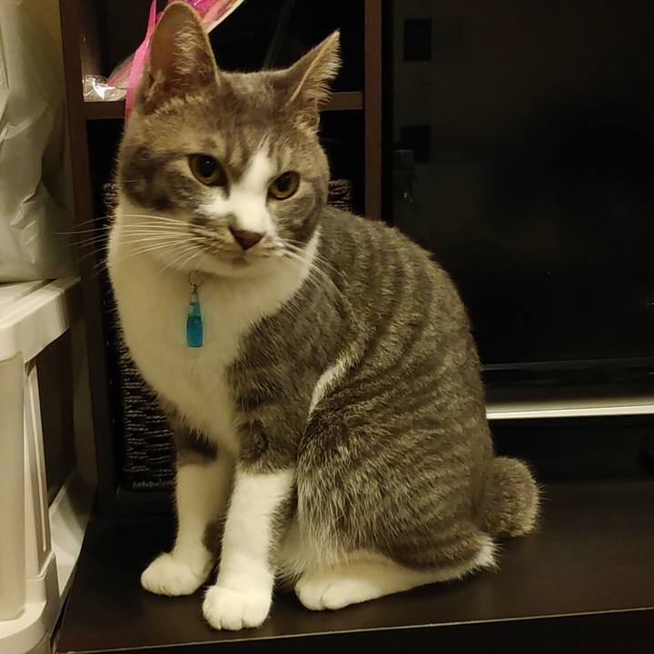 60c246d6 8fbd 463b abd9 48bff457c893 1583831956503