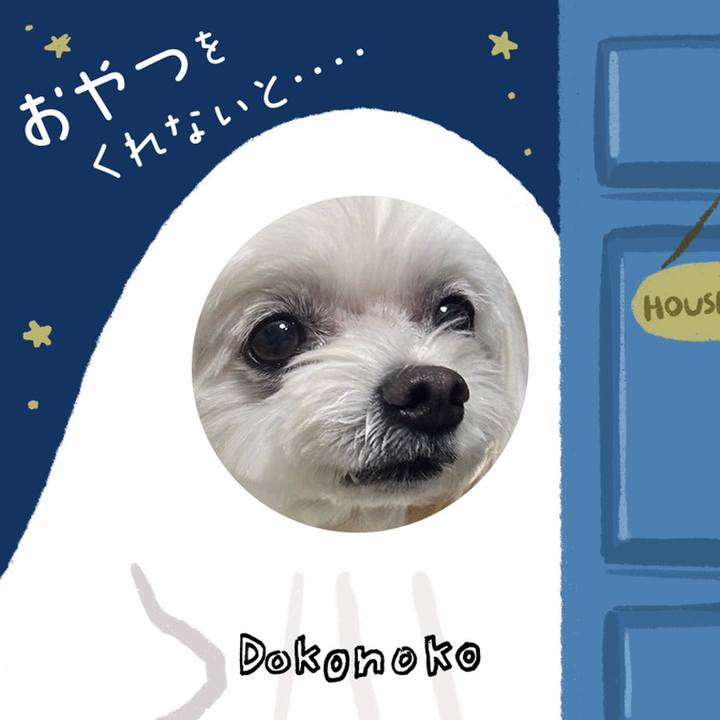 60c25b72 474d 44dd a5bc 79d97305d229 1729152404100