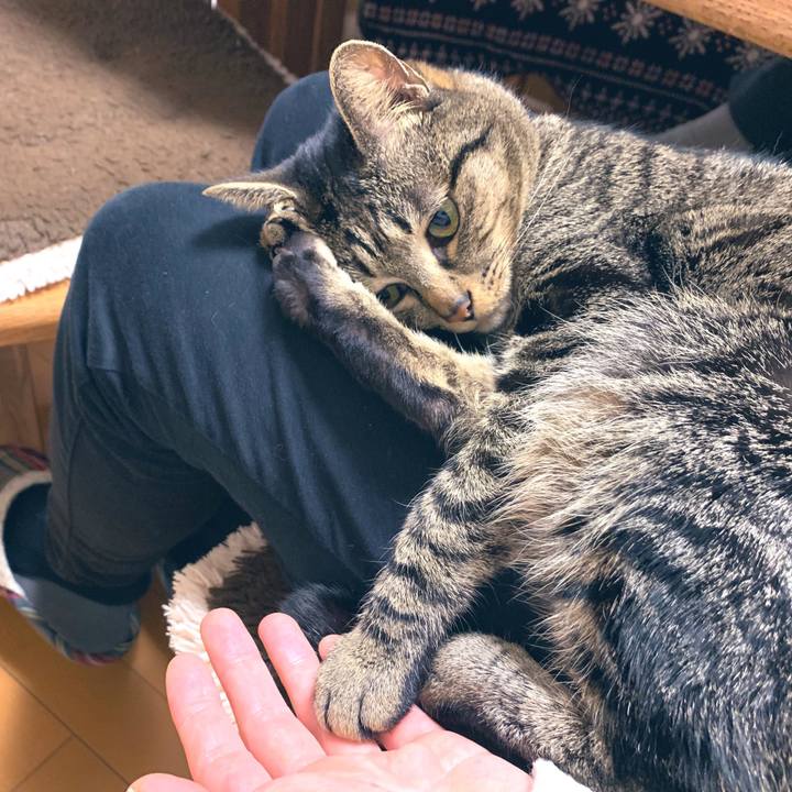 60c25f74 497f 4db4 a22e 8e3c58dfcabe 1548461285894