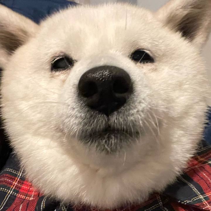 60c27b4a e5a9 4b25 abf4 dcfd98cb903b 1739313256612