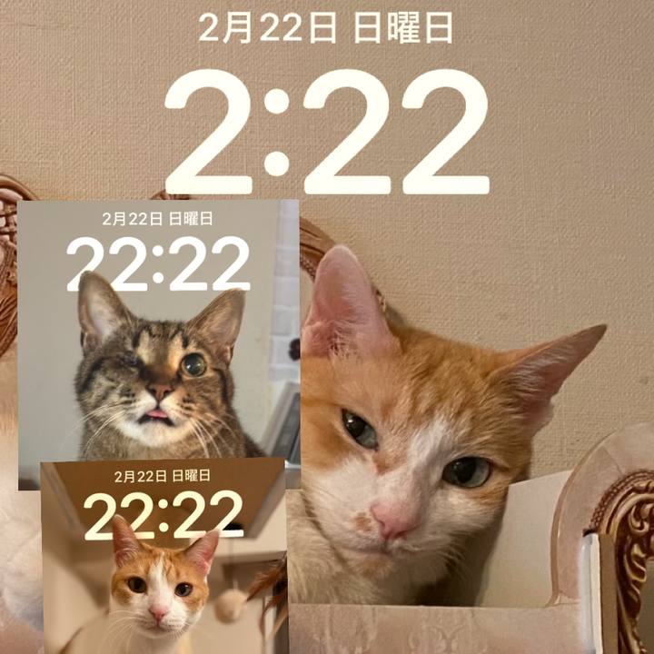 60c2bad4 ccb9 4bcc 8279 a47a846b9792 1771767313089