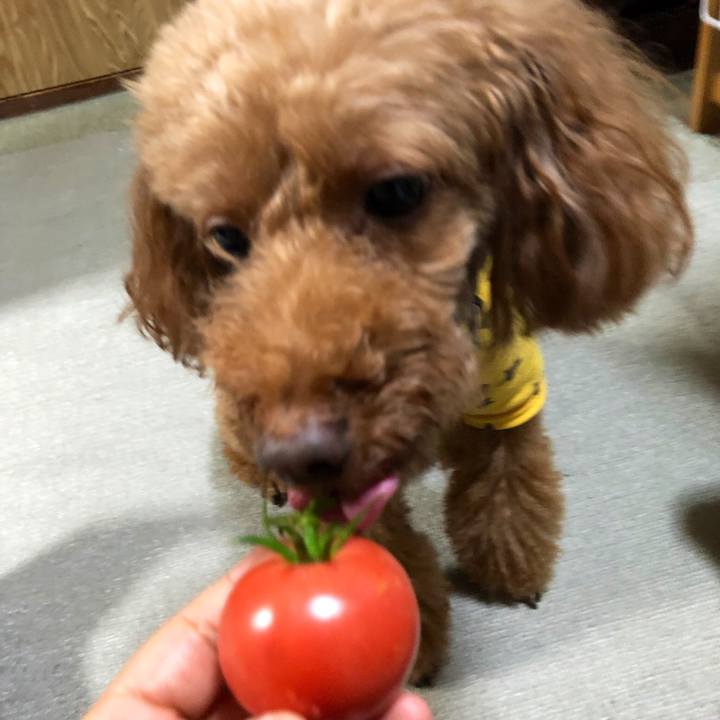 60c2bd7a 0bad 4400 82d5 7cd3c86919a4 1566958355179