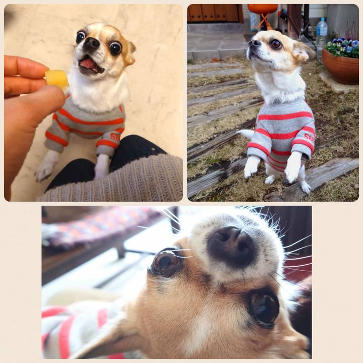 60c2e816 f58f 44fb 80a1 75178c048db7 1672301887920