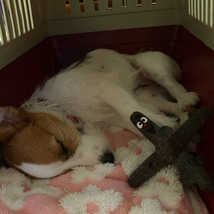 60c2f57e dc65 4c7b b18c eda5c985d6d6 1627803039366