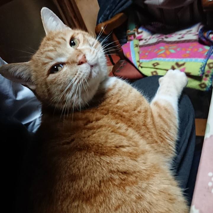 60c30701 ea2c 4c01 a0f1 f2c7739bfdfd 1579164893796