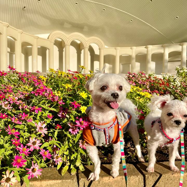 60c30d69 2b81 4c70 a10a 5bceb3eca90f 1634981080324