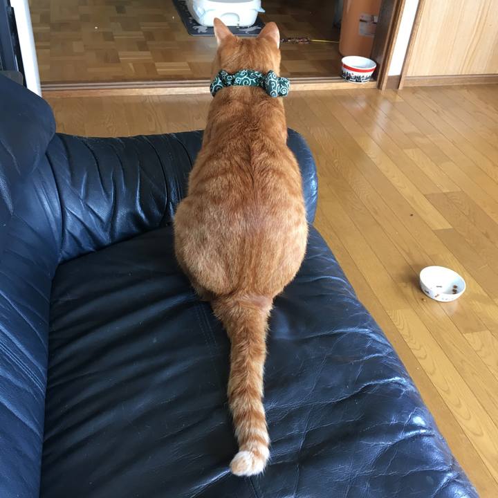 60c311bd 1a7c 4bd8 a880 e6be863f8552 1536368562327