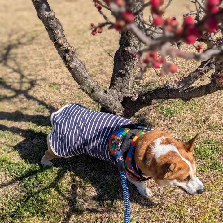 60c33b69 0fec 4fc1 8c03 b4614010596b 1771577659582