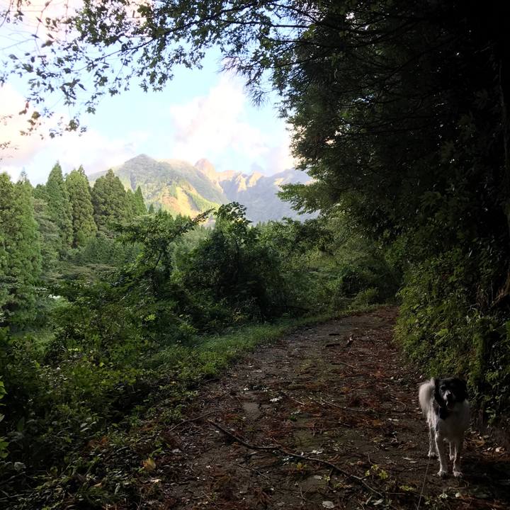 60c351f5 5e6c 4309 aac0 e8eebade15d2 1538386000033