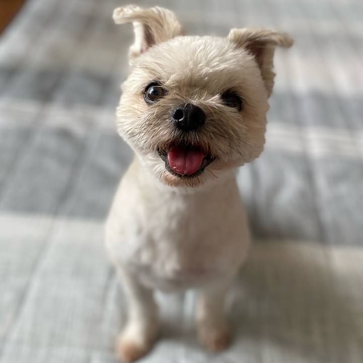 60c38b67 5766 4063 87f4 dc3246b2210c 1721990362699