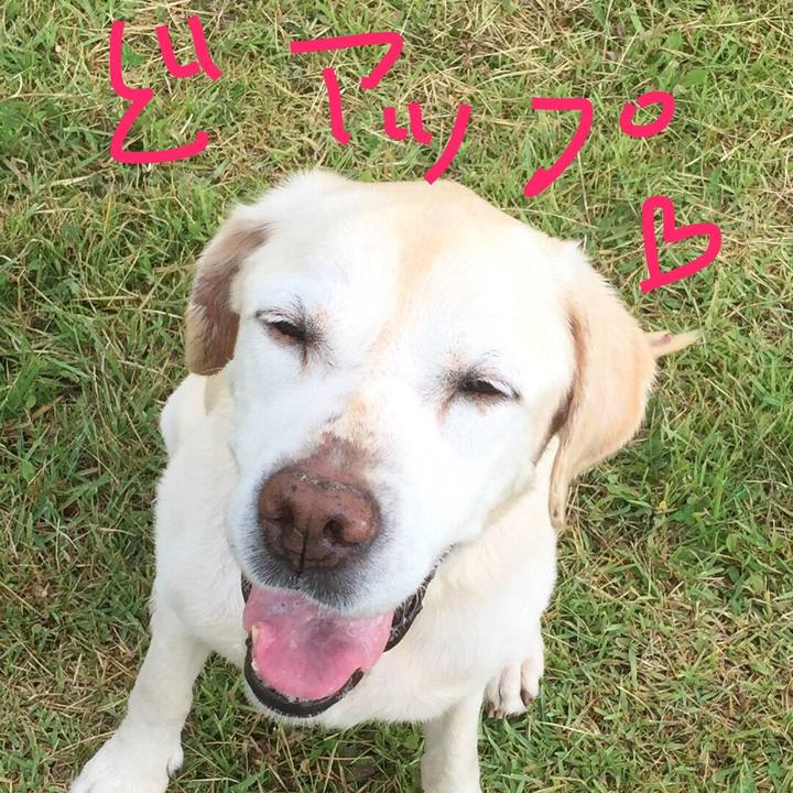 60c3b799 d798 4d36 9ece 98c8e0b339b6 1547340181135