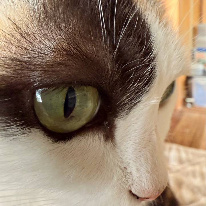 60c3d040 9964 4f50 8bb6 acecb47ba1b1 1730512275944