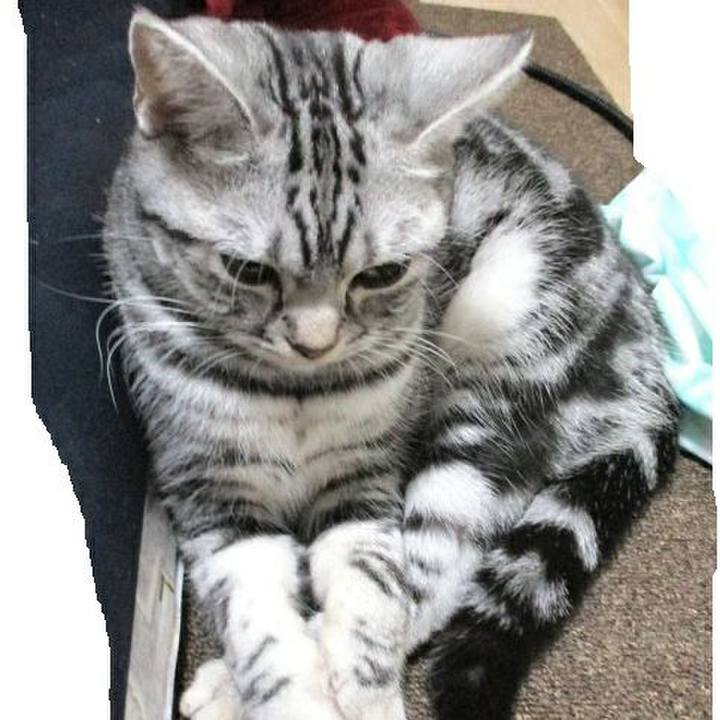 60c43104 3066 4040 a896 c919cccdfacf 1550231062096