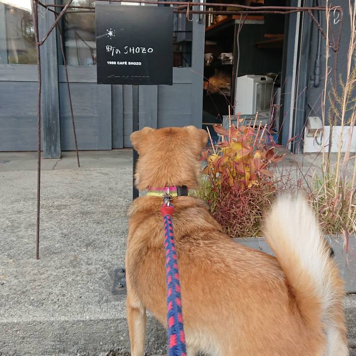 60c43389 055e 48b5 90f0 d7ffb1235040 1605172418314