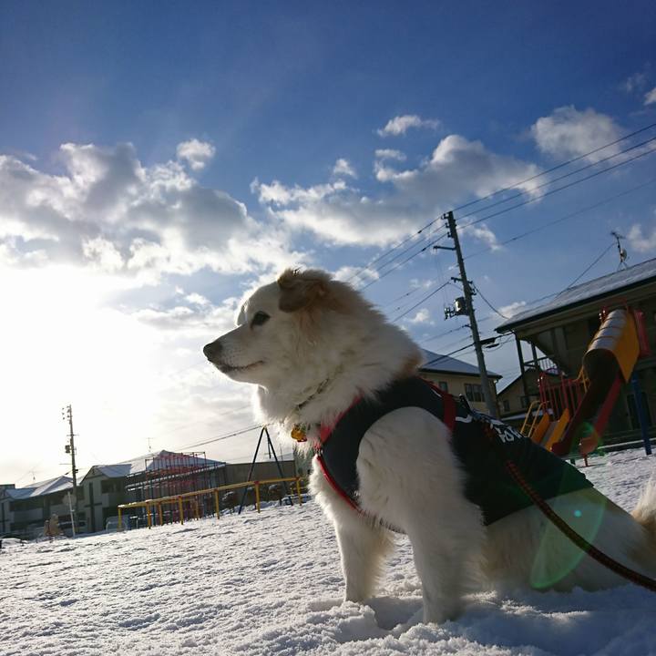 60c440eb 03d4 4989 a1a2 b0c1ff7a9c69 1518568701943