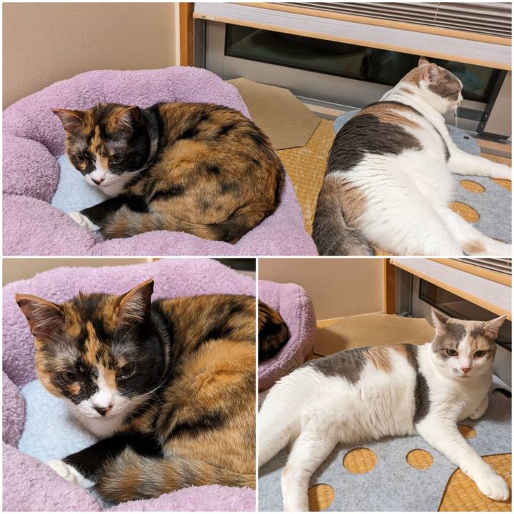 60c47ce5 ad06 4b07 b2eb 84f096032a08 1713673037984