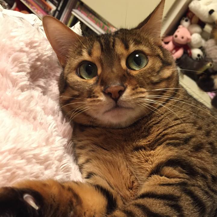 60c49ac6 bff5 477a 8e6d 851bb50f832e 1522273590475