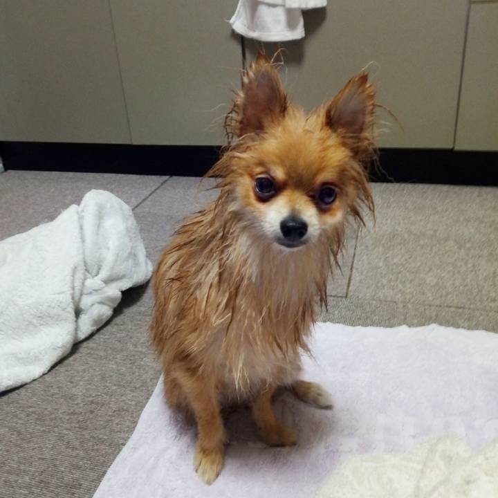 60c4ce48 cb5b 483d ad33 7235310ee66d 1527511021905