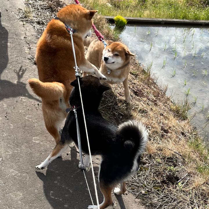 60c4dcf2 d578 4079 9acd b76d1e58acc3 1684060127030