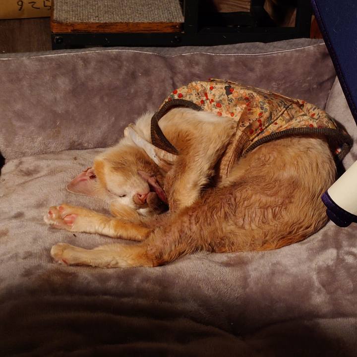 60c5074c e89d 4d3c 9315 7aea9b7130d8 1771326820680