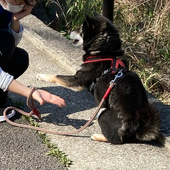 60c528d5 4459 4fa0 9b5d fbf59b29d73e 1651821446017